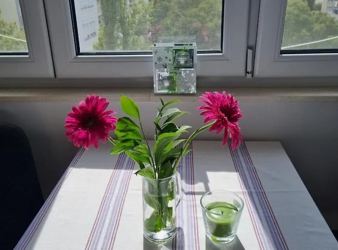 Vinka * 스플리트